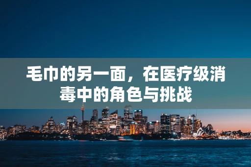 毛巾的另一面，在医疗级消毒中的角色与挑战