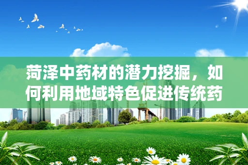 菏泽中药材的潜力挖掘，如何利用地域特色促进传统药物研发？