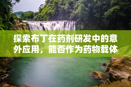 探索布丁在药剂研发中的意外应用，能否作为药物载体？