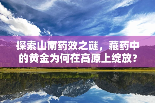 探索山南药效之谜，藏药中的黄金为何在高原上绽放？