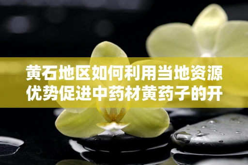 黄石地区如何利用当地资源优势促进中药材黄药子的开发与利用？