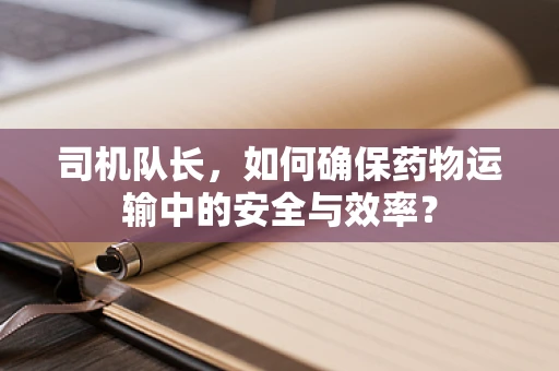 司机队长，如何确保药物运输中的安全与效率？