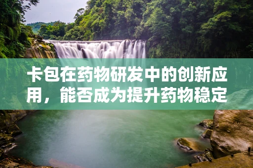 卡包在药物研发中的创新应用，能否成为提升药物稳定性的新利器？