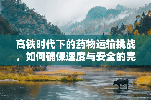 高铁时代下的药物运输挑战，如何确保速度与安全的完美平衡？