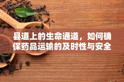 县道上的生命通道，如何确保药品运输的及时性与安全性？
