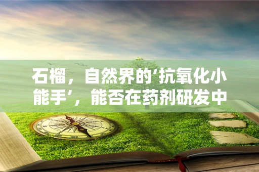 石榴，自然界的‘抗氧化小能手’，能否在药剂研发中大放异彩？