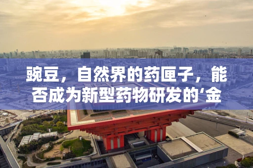 豌豆，自然界的药匣子，能否成为新型药物研发的‘金豆子’？