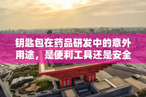 钥匙包在药品研发中的意外用途，是便利工具还是安全隐忧？