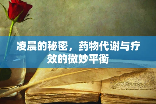 凌晨的秘密，药物代谢与疗效的微妙平衡