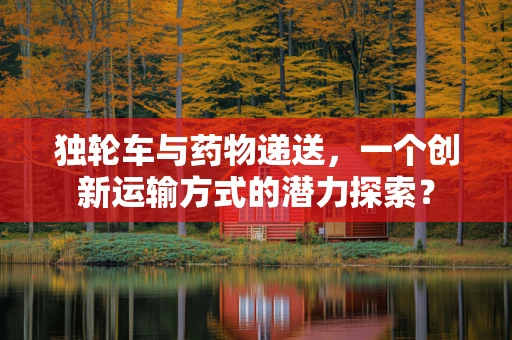 独轮车与药物递送，一个创新运输方式的潜力探索？