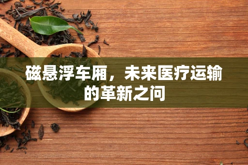 磁悬浮车厢，未来医疗运输的革新之问