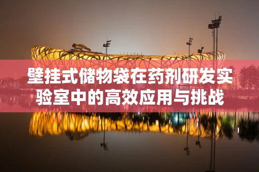 壁挂式储物袋在药剂研发实验室中的高效应用与挑战