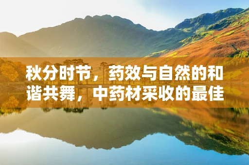 秋分时节，药效与自然的和谐共舞，中药材采收的最佳时机？