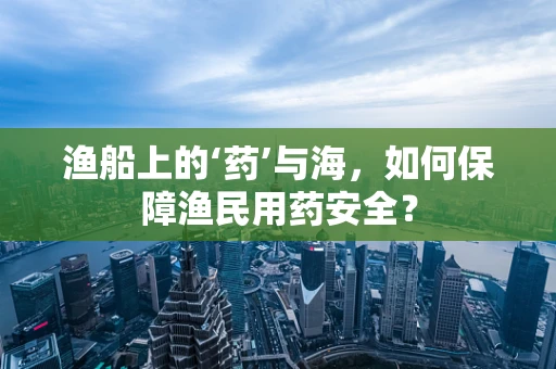 渔船上的‘药’与海，如何保障渔民用药安全？