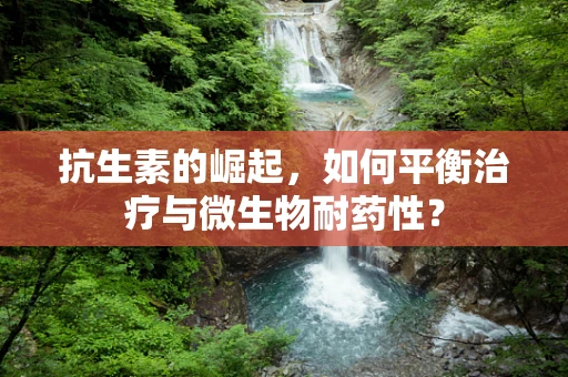 抗生素的崛起，如何平衡治疗与微生物耐药性？