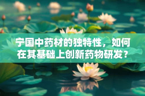 宁国中药材的独特性，如何在其基础上创新药物研发？