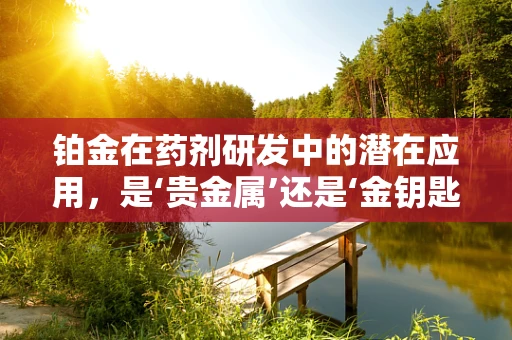 铂金在药剂研发中的潜在应用，是‘贵金属’还是‘金钥匙’？