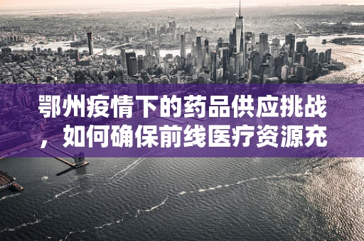鄂州疫情下的药品供应挑战，如何确保前线医疗资源充足？