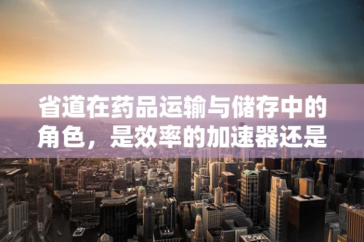 省道在药品运输与储存中的角色，是效率的加速器还是安全的守护者？