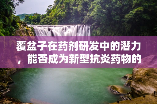 覆盆子在药剂研发中的潜力，能否成为新型抗炎药物的突破口？