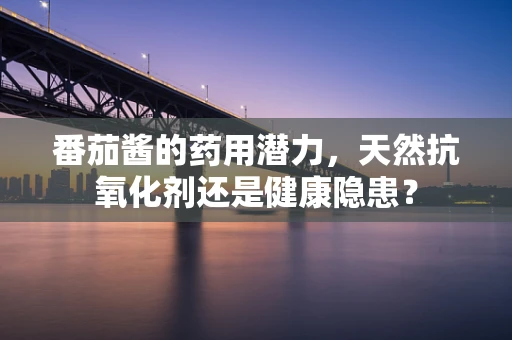 番茄酱的药用潜力，天然抗氧化剂还是健康隐患？