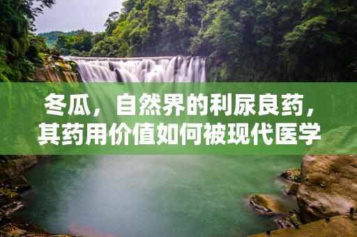 冬瓜，自然界的利尿良药，其药用价值如何被现代医学发掘？