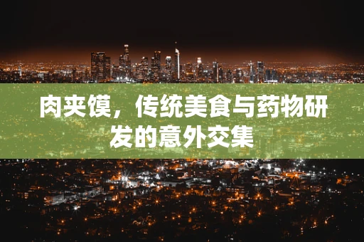 肉夹馍，传统美食与药物研发的意外交集