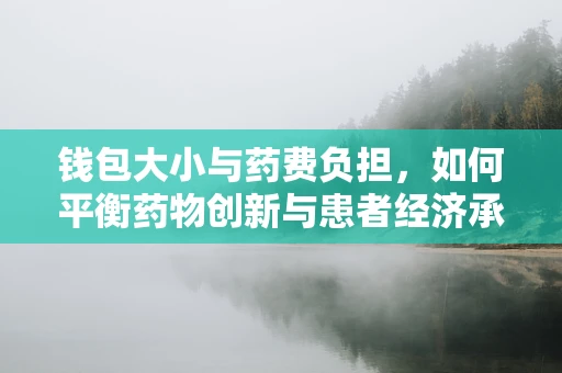 钱包大小与药费负担，如何平衡药物创新与患者经济承受力？