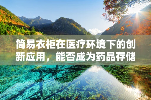 简易衣柜在医疗环境下的创新应用，能否成为药品存储的新方案？