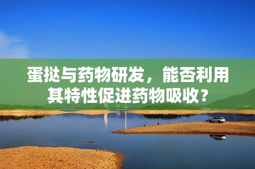 蛋挞与药物研发，能否利用其特性促进药物吸收？