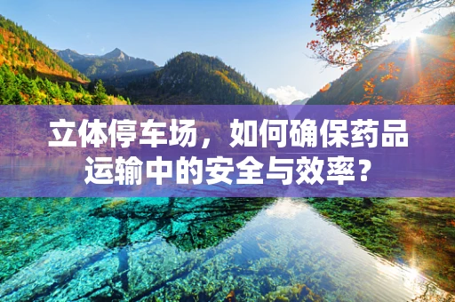 立体停车场，如何确保药品运输中的安全与效率？