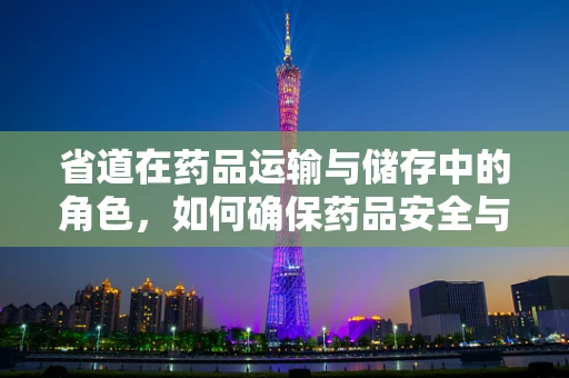 省道在药品运输与储存中的角色，如何确保药品安全与效率？