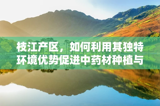 枝江产区，如何利用其独特环境优势促进中药材种植与药效提升？
