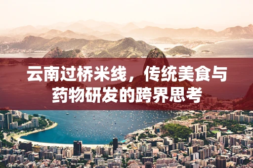 云南过桥米线，传统美食与药物研发的跨界思考