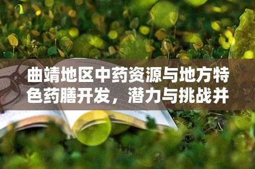 曲靖地区中药资源与地方特色药膳开发，潜力与挑战并存的探索
