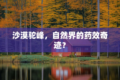 沙漠驼峰，自然界的药效奇迹？