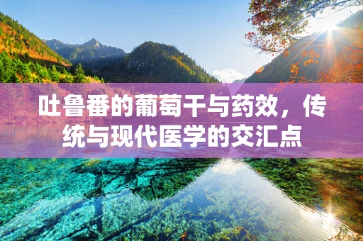 吐鲁番的葡萄干与药效，传统与现代医学的交汇点