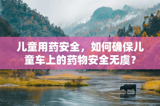 儿童用药安全，如何确保儿童车上的药物安全无虞？