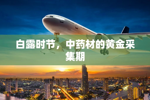 白露时节，中药材的黄金采集期
