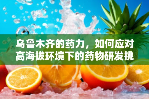 乌鲁木齐的药力，如何应对高海拔环境下的药物研发挑战？