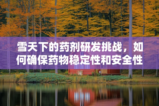 雪天下的药剂研发挑战，如何确保药物稳定性和安全性？