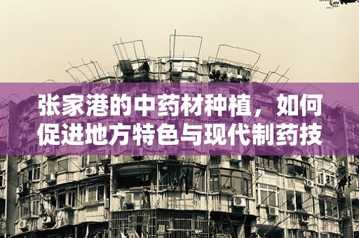 张家港的中药材种植，如何促进地方特色与现代制药技术的融合？