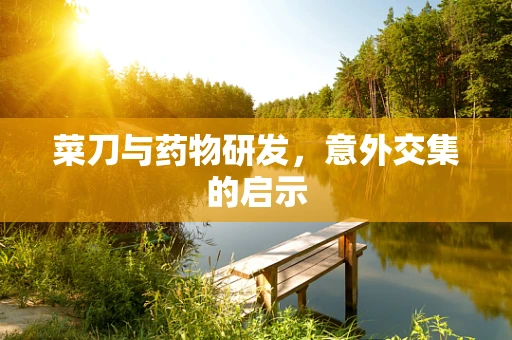 菜刀与药物研发，意外交集的启示