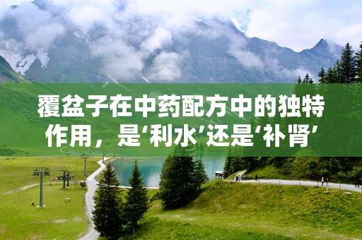 覆盆子在中药配方中的独特作用，是‘利水’还是‘补肾’的明星？