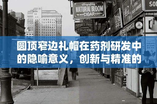 圆顶窄边礼帽在药剂研发中的隐喻意义，创新与精准的平衡