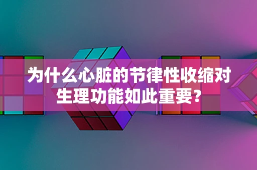 为什么心脏的节律性收缩对生理功能如此重要？