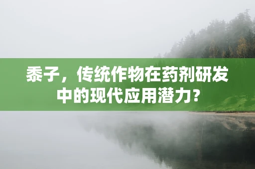 黍子，传统作物在药剂研发中的现代应用潜力？