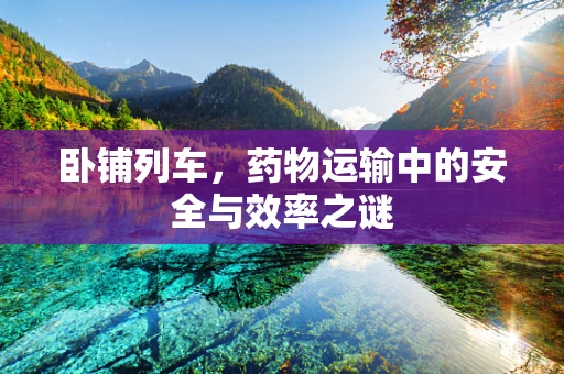 卧铺列车，药物运输中的安全与效率之谜