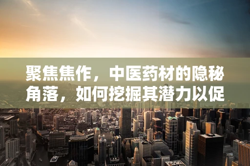 聚焦焦作，中医药材的隐秘角落，如何挖掘其潜力以促进现代药剂研发？
