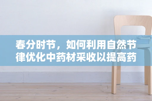 春分时节，如何利用自然节律优化中药材采收以提高药效？